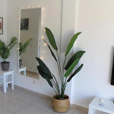 Pachi Atlantic Garden