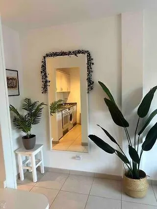 Pachi Atlantic Garden *